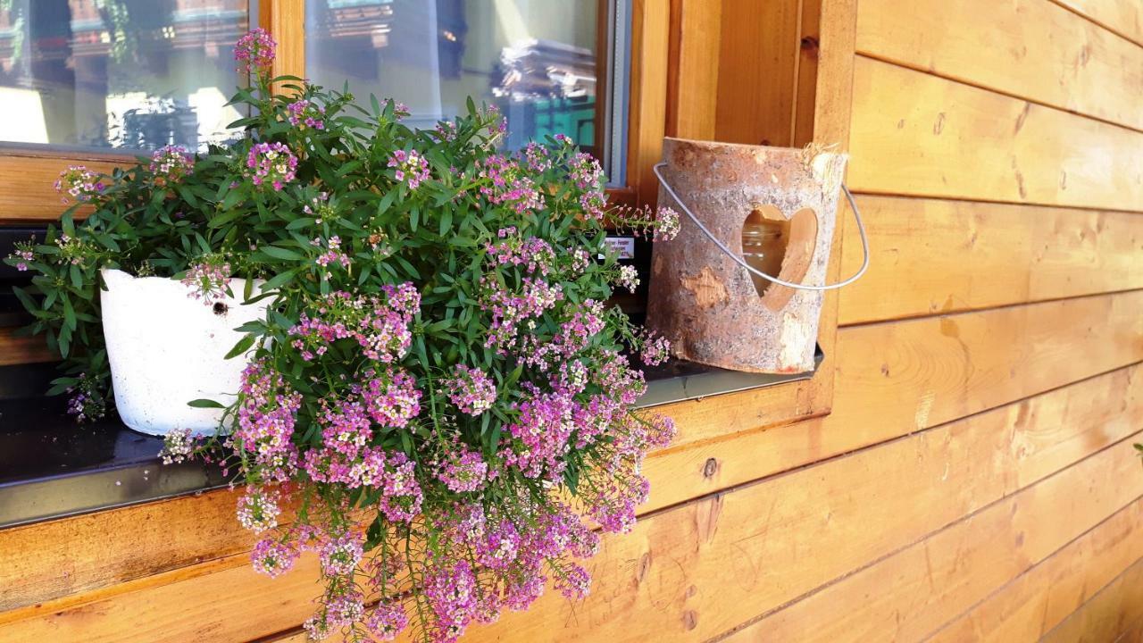 Landhaus Sonnenschein Schladming Extérieur photo
